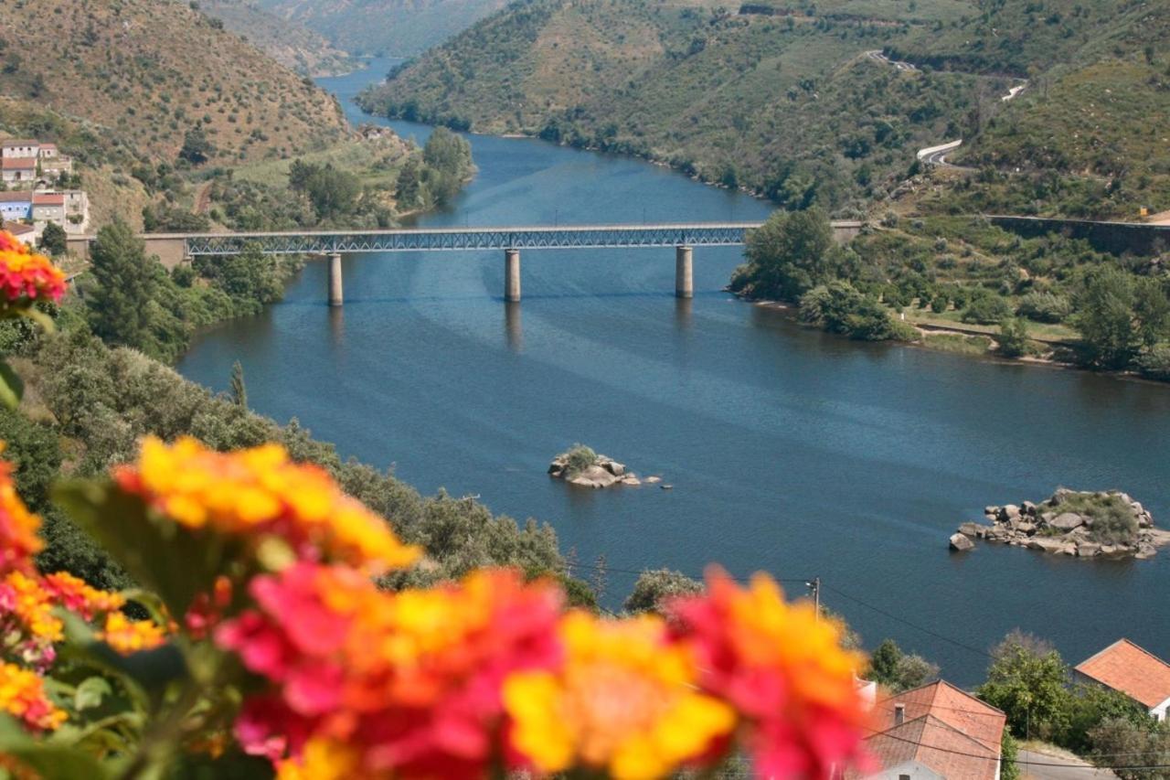 Quinta Do Belo-Ver Turismo De Habitacao Belver  エクステリア 写真